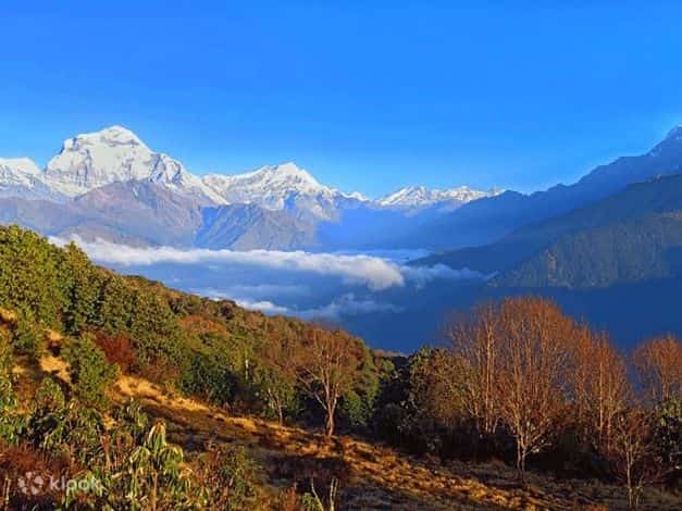 Kori Hill Trek - Upto 10% Off - Book Now!