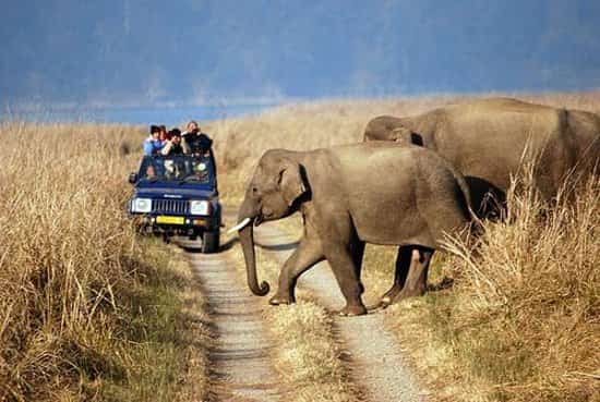 ⁠Rajasthan Wildlife Tour - 5 Days