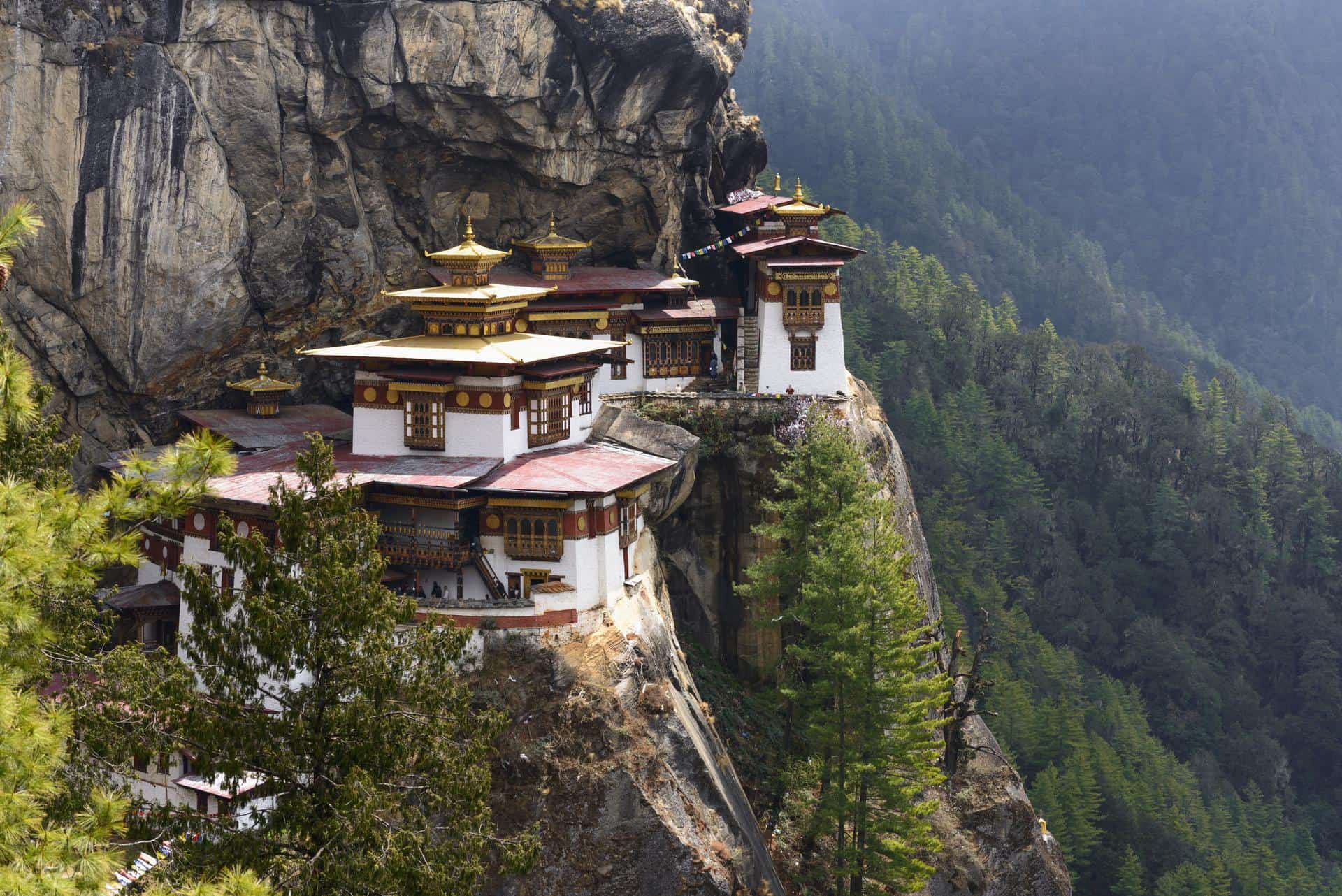 Tiger’s Nest Day Hike - Upto 10% Off