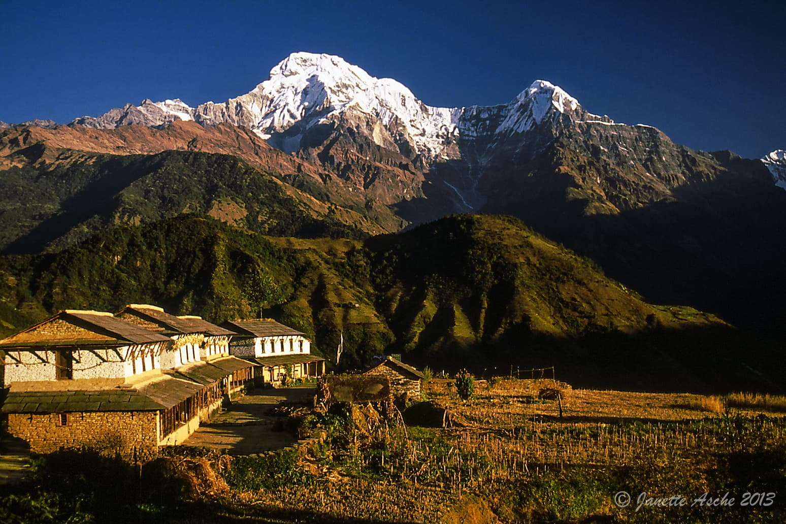 Do You Need a Guide for Annapurna in 2026