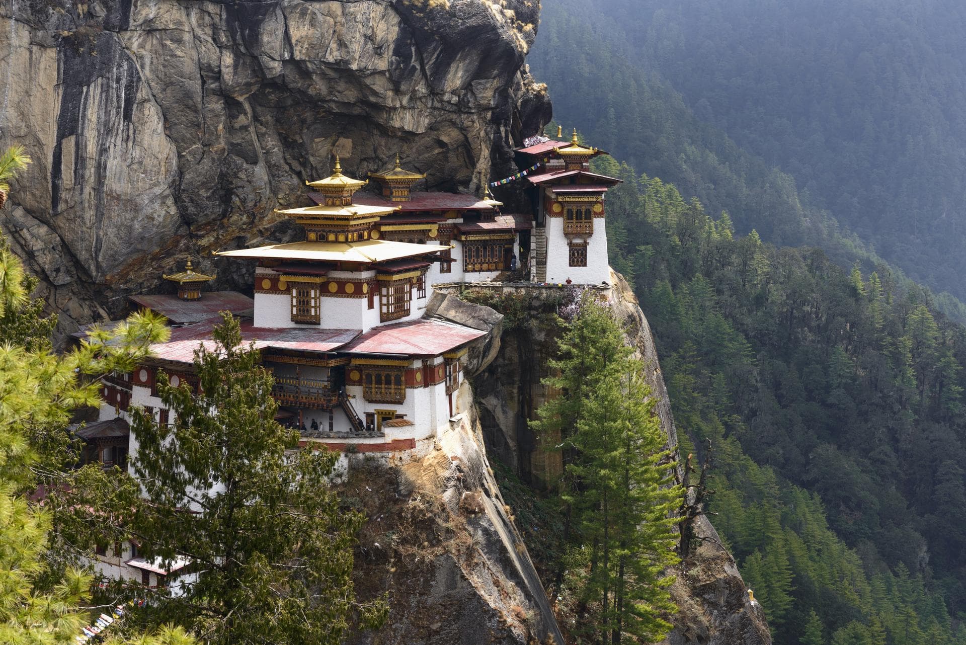 Tiger’s Nest Day Hike - Upto 10% Off