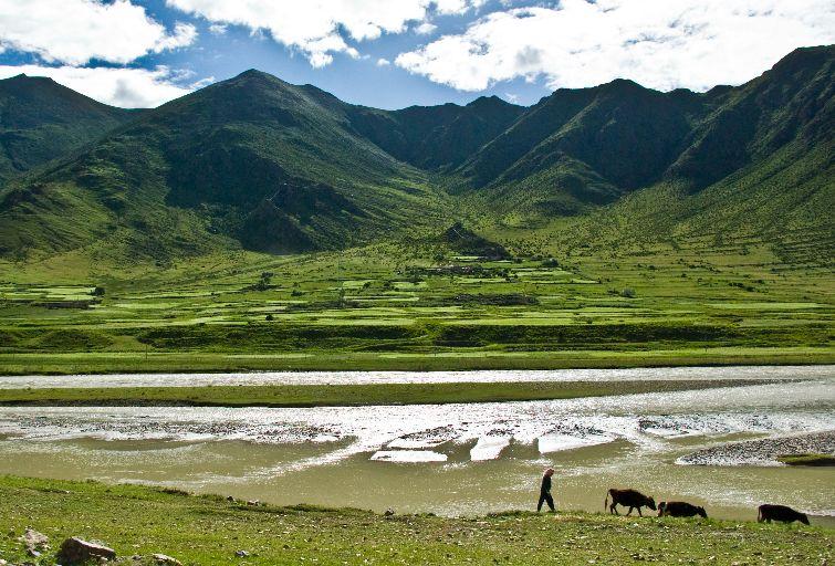 Trekking in Tibet: Best Routes and Tips for Trekkers 
