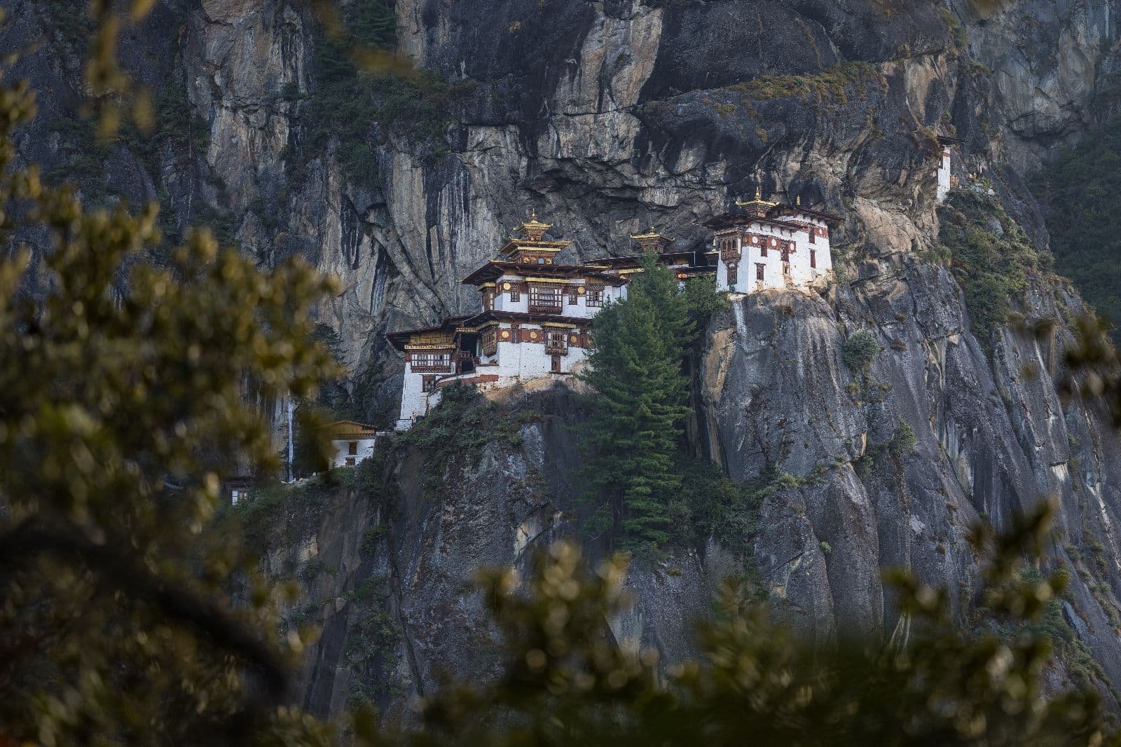 ⁠Things to do in Paro (Top 10)