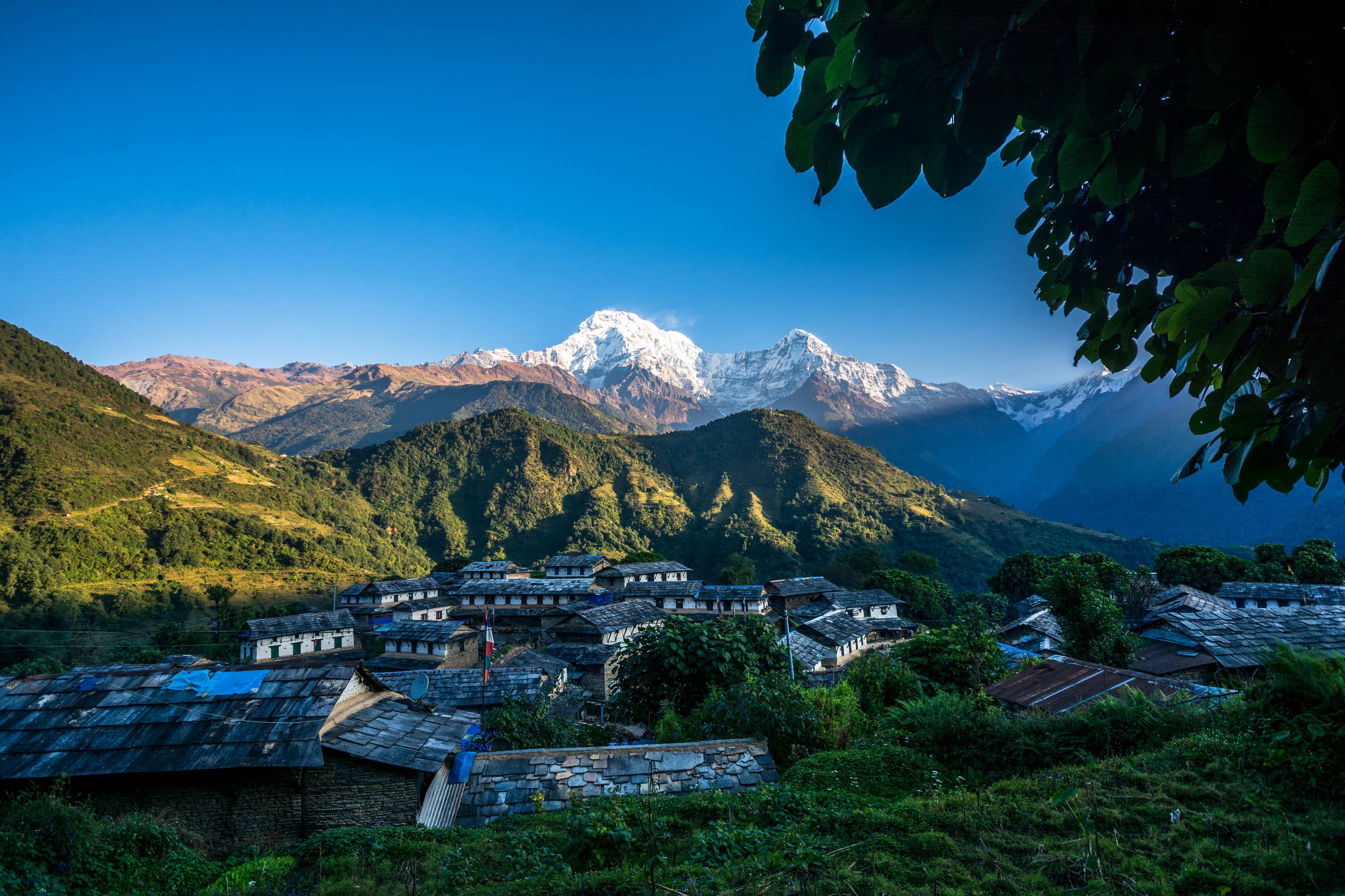 Luxury Lodges & Upgraded Teahouses on the Annapurna Routes