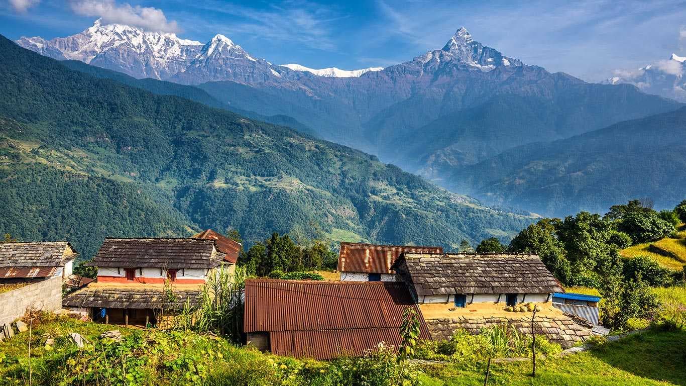 Homestay Trips