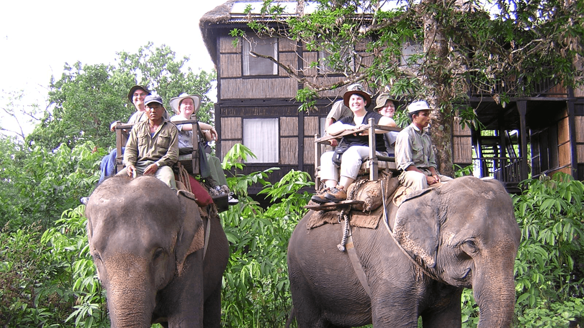 Jungle Safari Tours