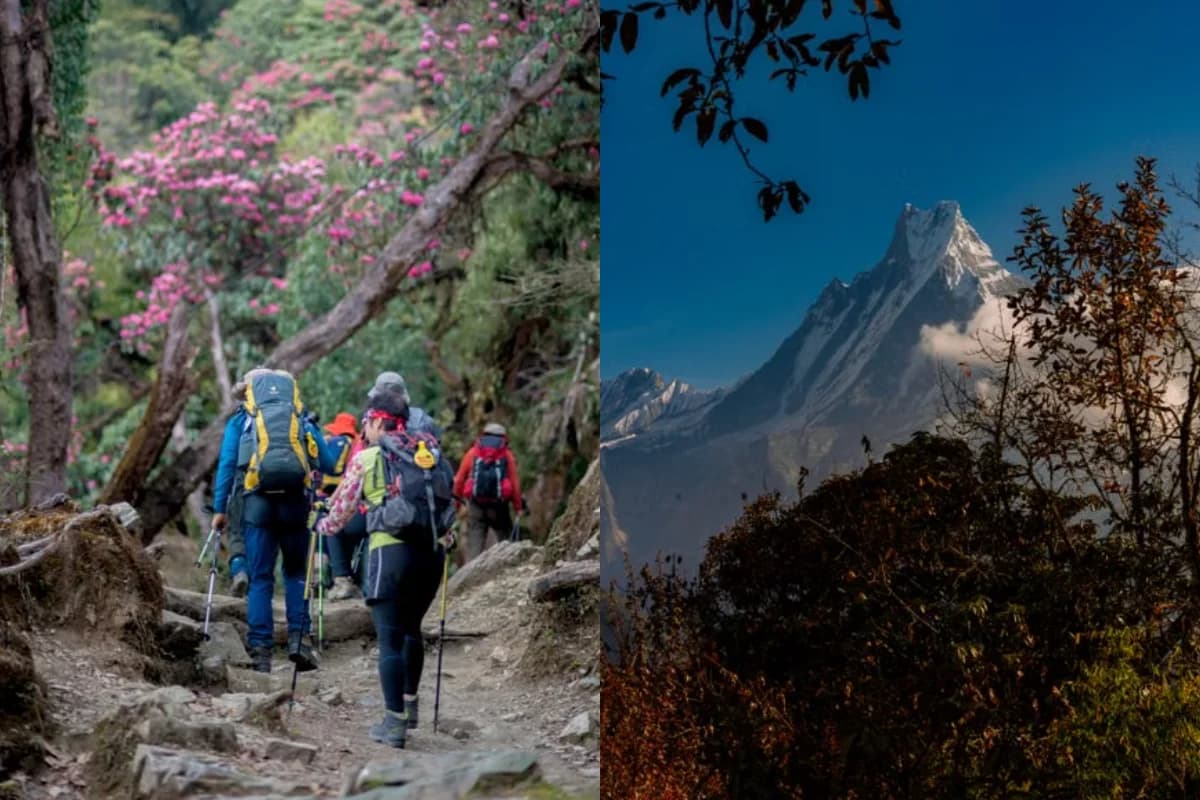 Spring vs. Autumn: Which is the Ultimate Trekking Season?