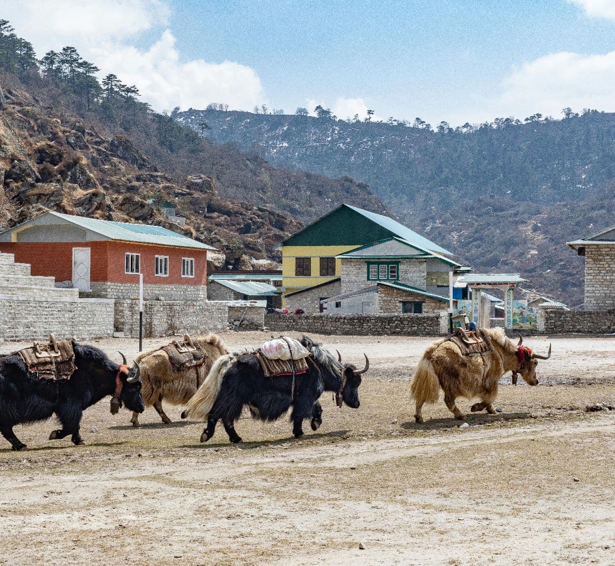 Tea Houses vs. Camping Treks