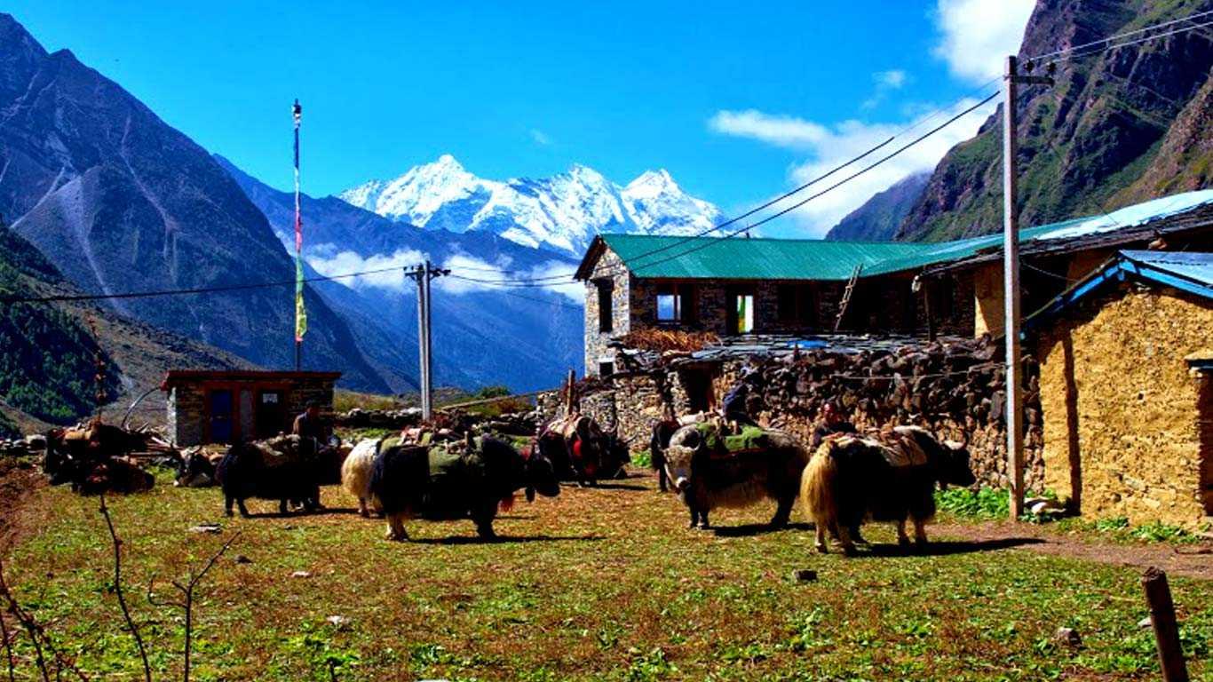 Major Reasons to Trek to the Tsum Valley