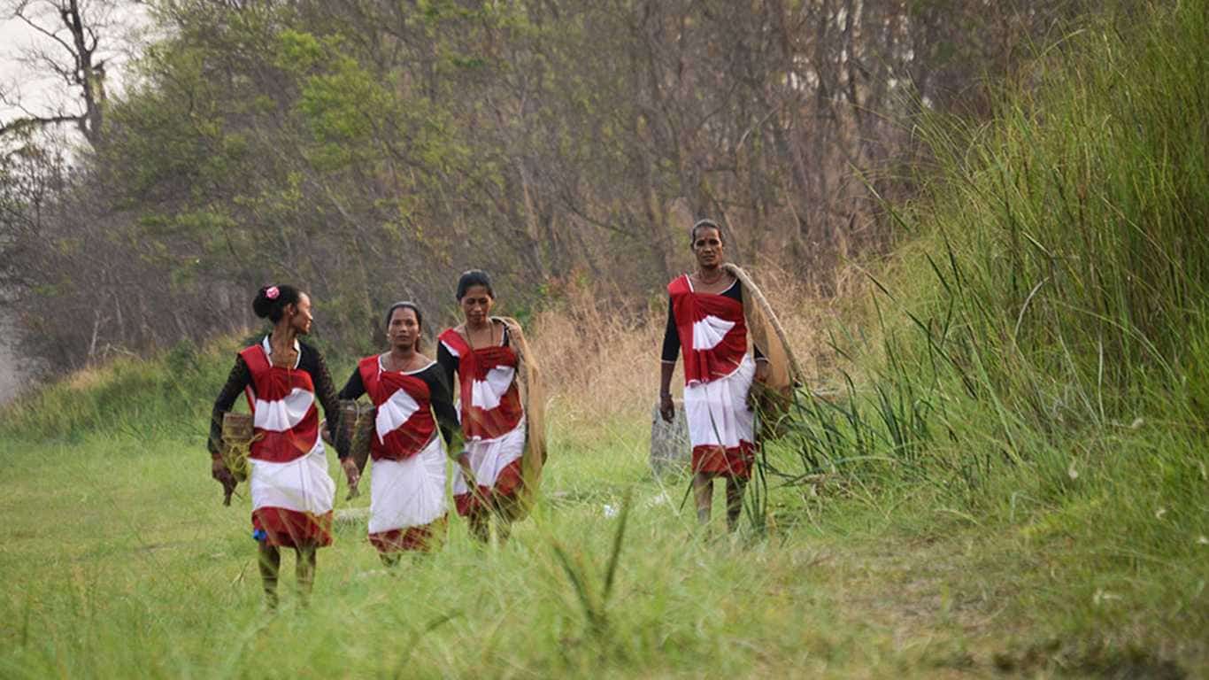Chitwan Chepang Hill Trekking