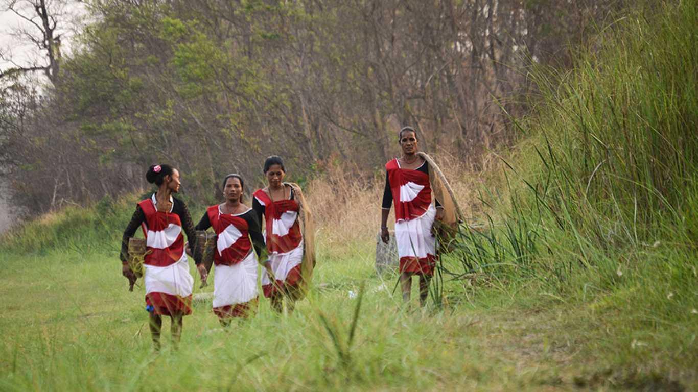 Chitwan Chepang Hill Trekking