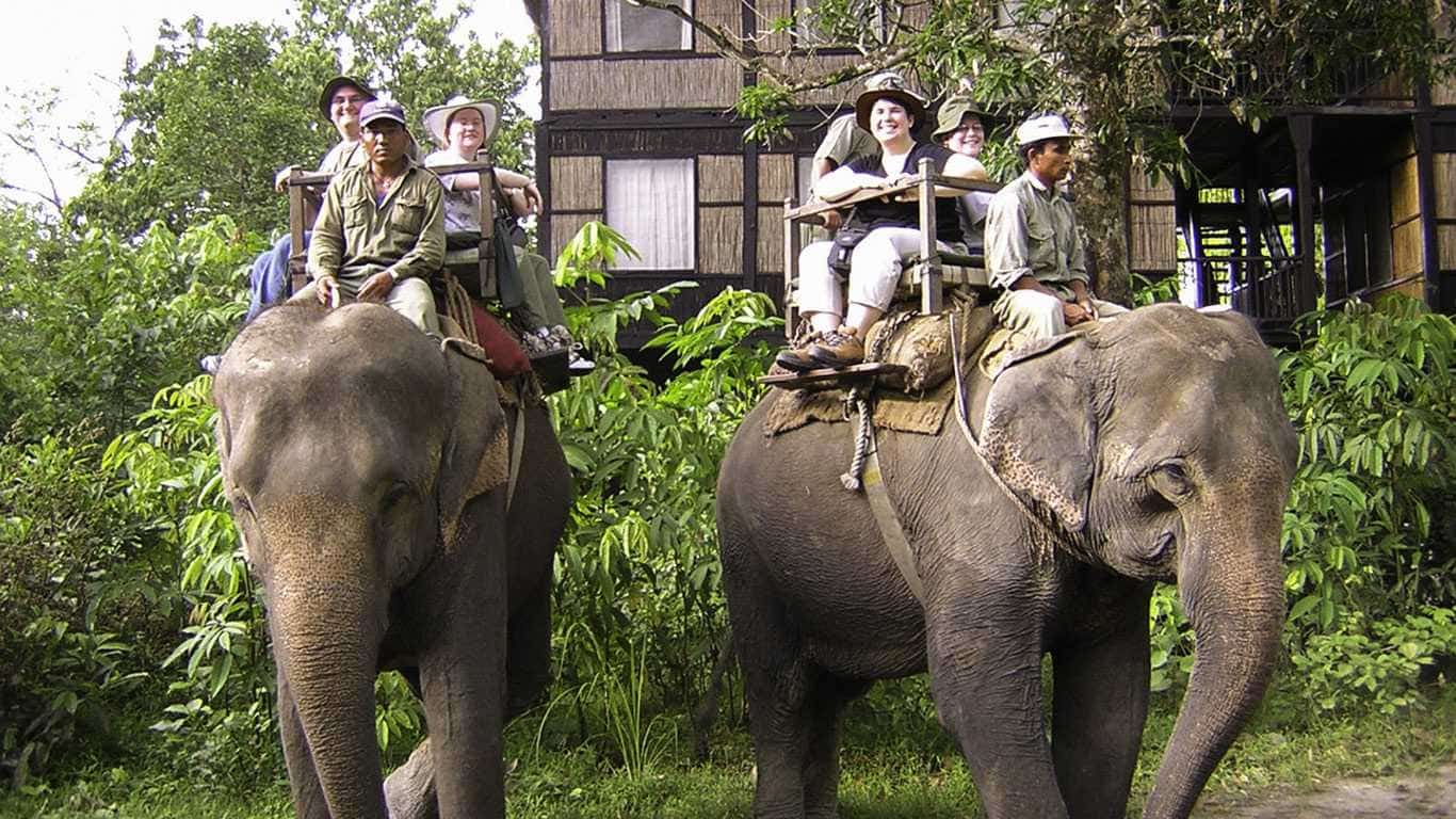 Chitwan National Park Tour
