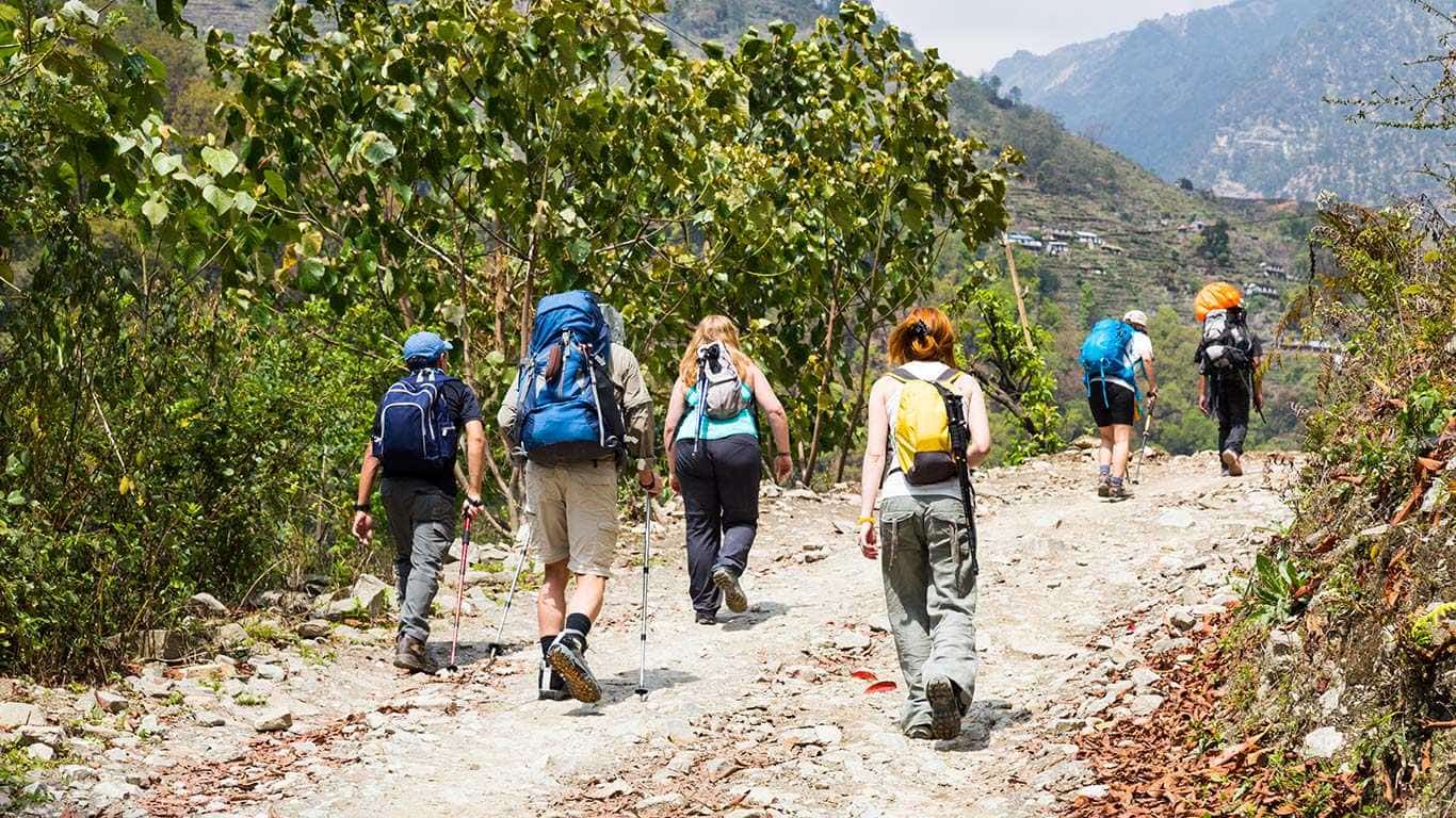 Shivapuri Nagi Gumba Day Hike