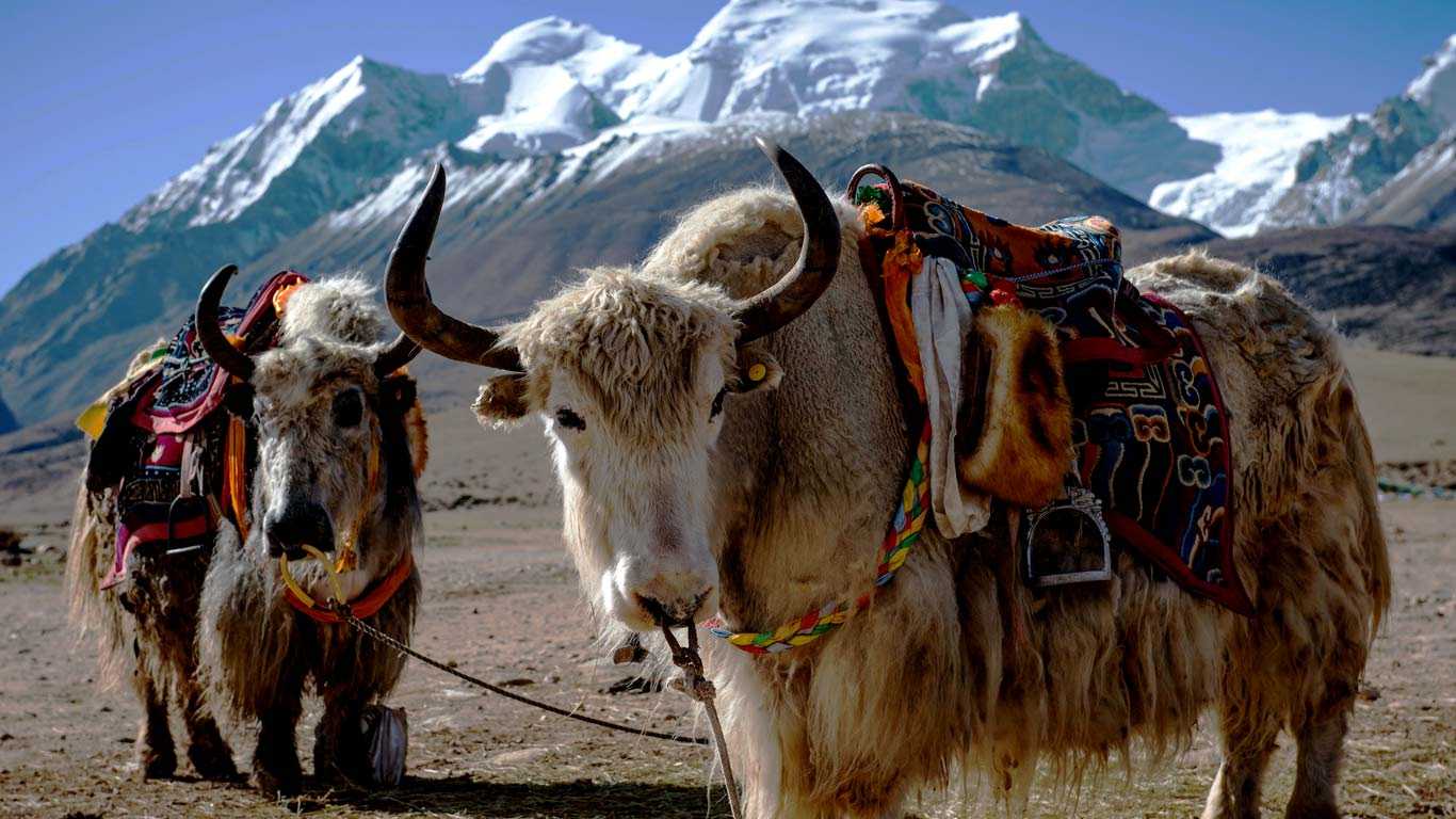 Nepal’s Top Tourist Places and Attractions for 2022