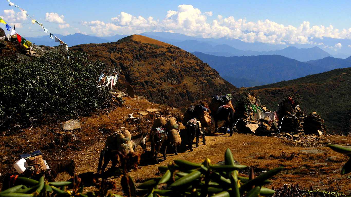 Druk Path Trek With Bhutan tour