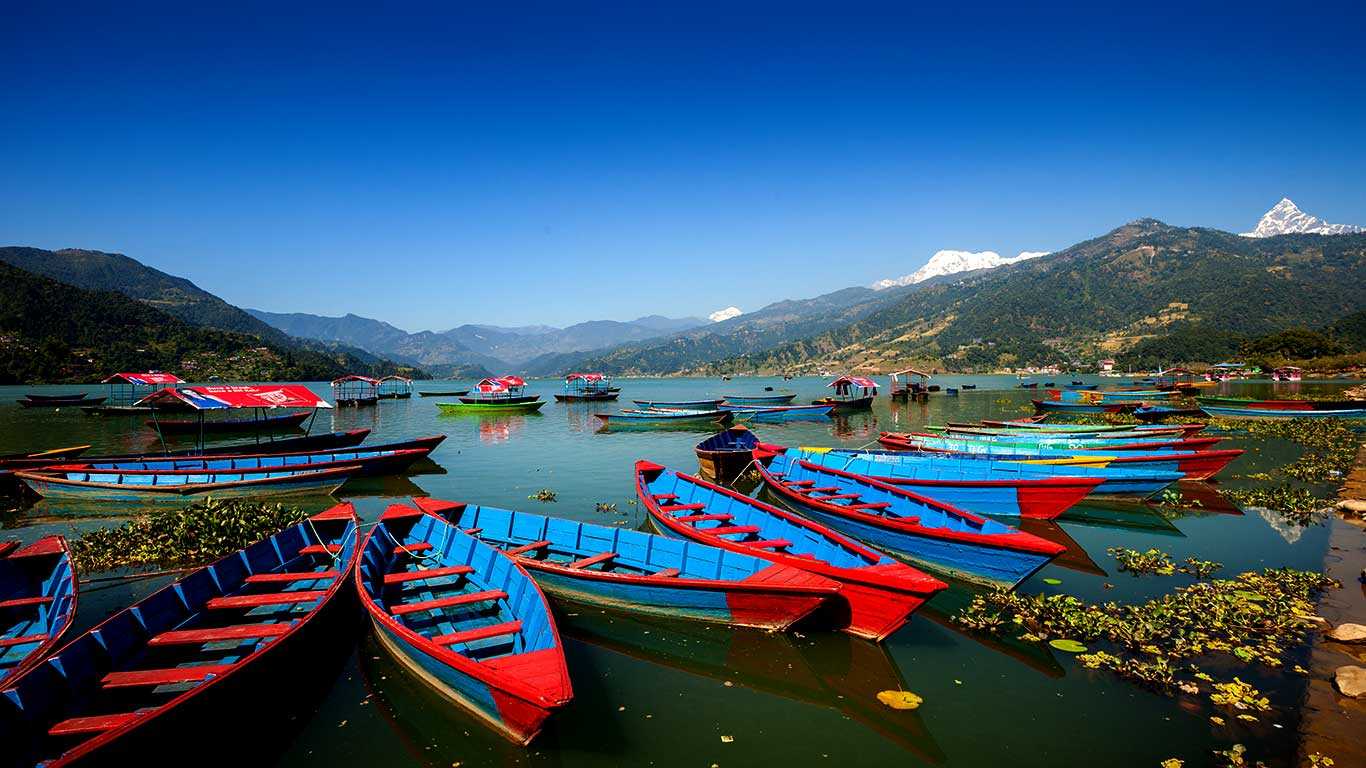 Boats on Phewa Lake Pokhara